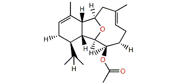 13-Deacetoxyl calicophirin B